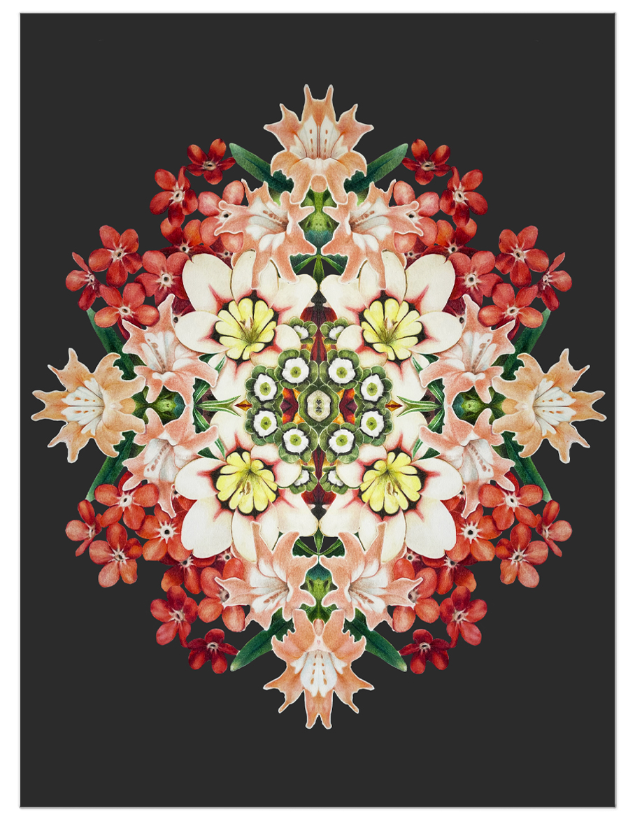 Fleurs du mal, une œuvre de Lou Picault