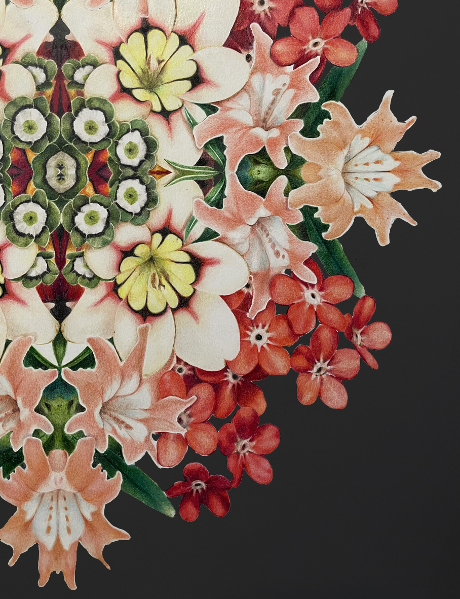 Détail de l'œuvre Fleurs du mal de Lou Picault